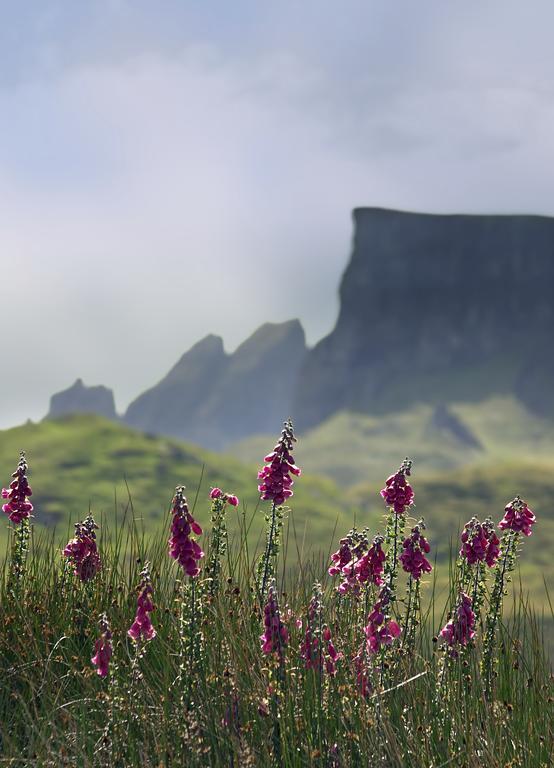 Storr Apartments Portree Extérieur photo
